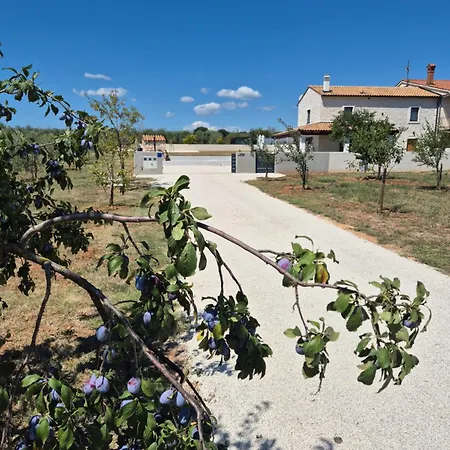 Stone With Private Pool